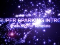 SUPER SPARKING INTRO – $20