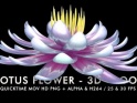 LOTUS FLOWER – LOOP – $6