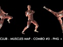 FIGHT CLUB – MUSCLES MAP – COMBO #3 – $12