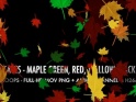 FALL LEAVES – MAPLE MIX – PACK OF 4 LOOPS – $12