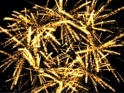 HOLIDAY FIREWORKS – GOLDEN FLOWER – $10