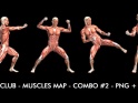FIGHT CLUB – MUSCLES MAP – COMBO #2 – $12