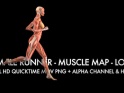 MUSCLE MAP – FEMALE RUNNER – LOOP – $10