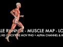 MUSCLE MAP – MALE RUNNER – LOOP – $10