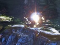 FOREST WATERFALL & SUN REFLECTION – LOOP – $10