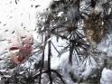 SNOW DROPS ON WINTER WINDOW – IV – LOOP – $10