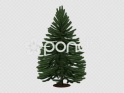XMAS TREE – GREEN – CLEAN – SPIN LOOP – $25