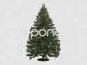 XMAS TREE – GREEN – DECORATED – SPIN LOOP – $25