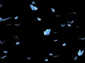 BUTTERFLY SWARM – BLUE ADONIS – PACK OF 2 – $12